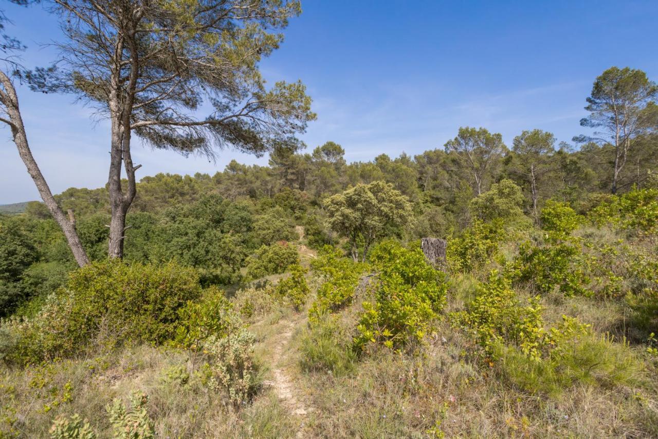 Вілла Petit Paradis Garrigue Moulezan Екстер'єр фото